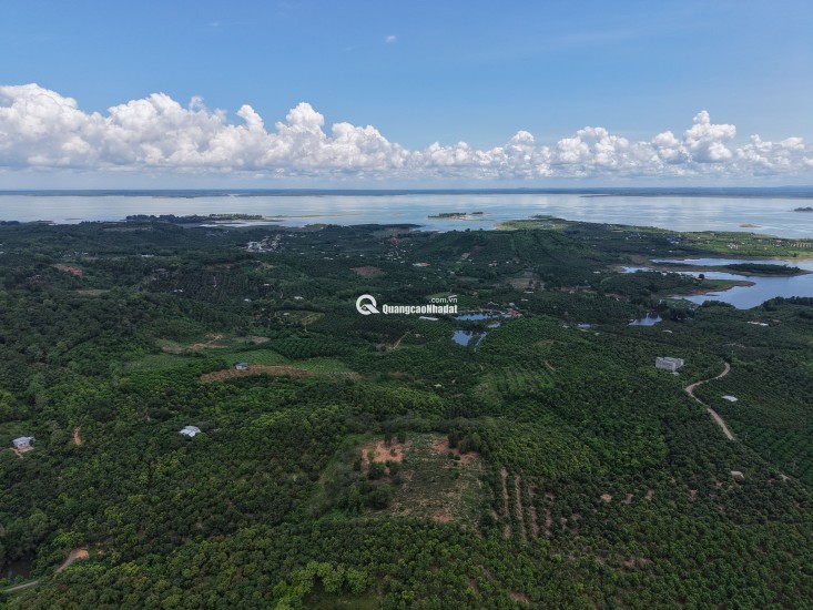 Đất Đẹp La Ngà – Sổ Riêng, View Chill, Đường Ô Tô – Chính Chủ Sang Nhượng